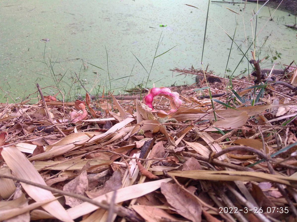 Felt cute. Might delete later.