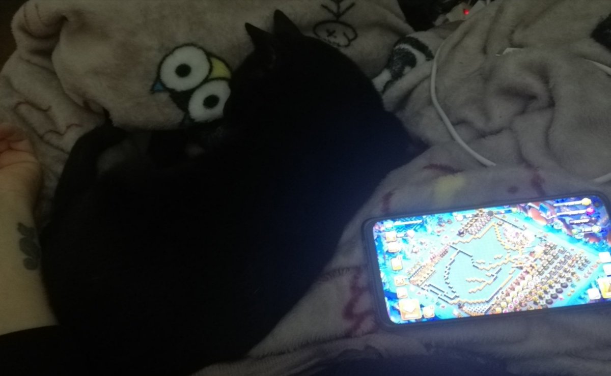 ༺LadγSikat༻🐾 tweet media