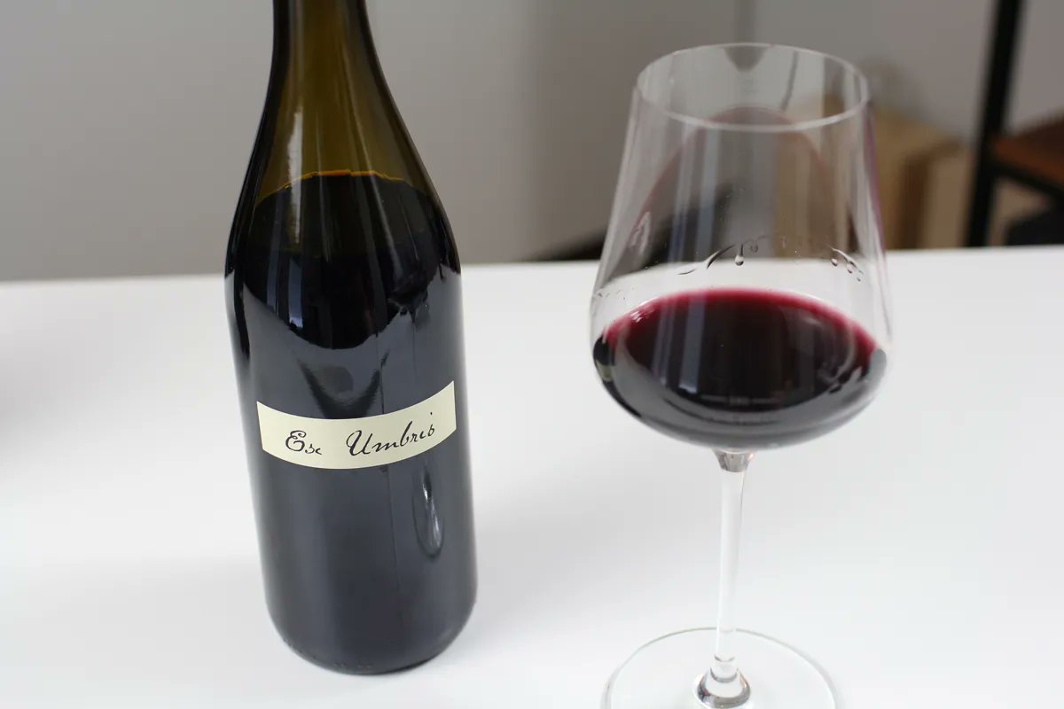 WineFolly's tweet photo. Syrah (aka Shiraz) originally comes from France and is actually related to Viognier! Find out more about this boisterous, bold red wine while tasting wines from Australia and Washington State. https://t.co/mRD51flqio https://t.co/ifuYwwp67j