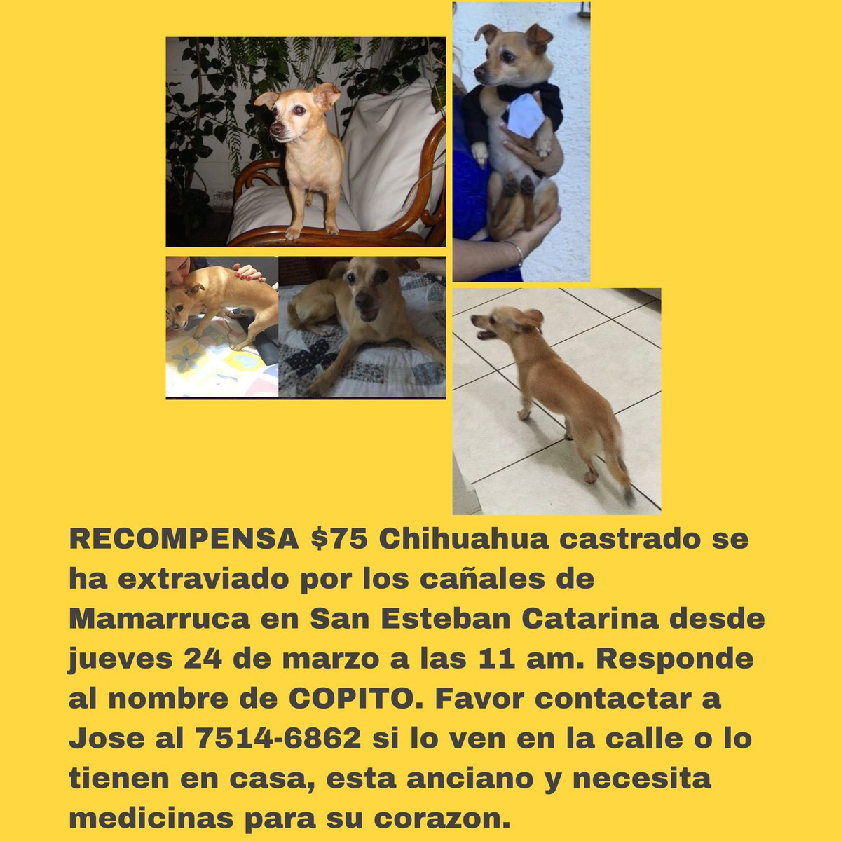 ElsaMMejia's tweet photo. https://t.co/namfZjTUNh