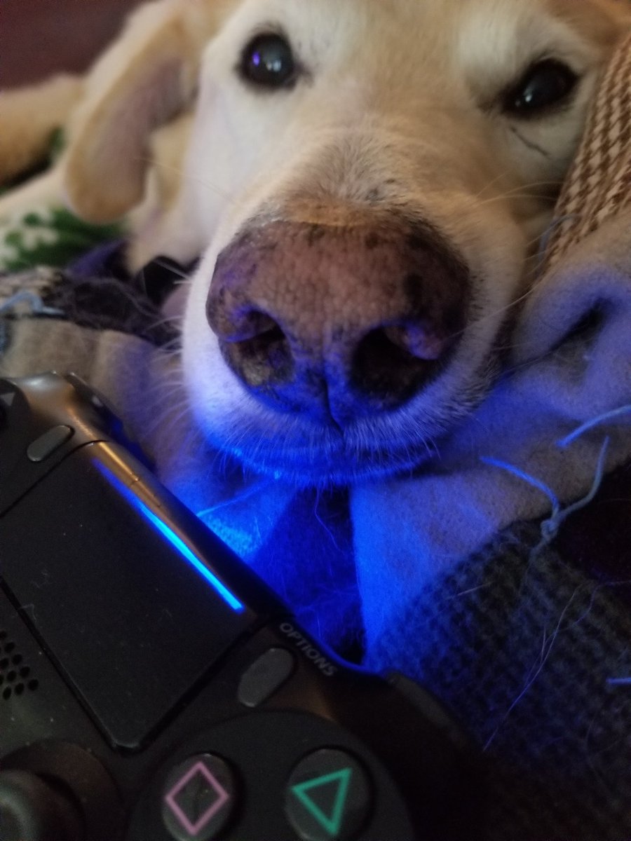 Nice Guy Jake tweet media