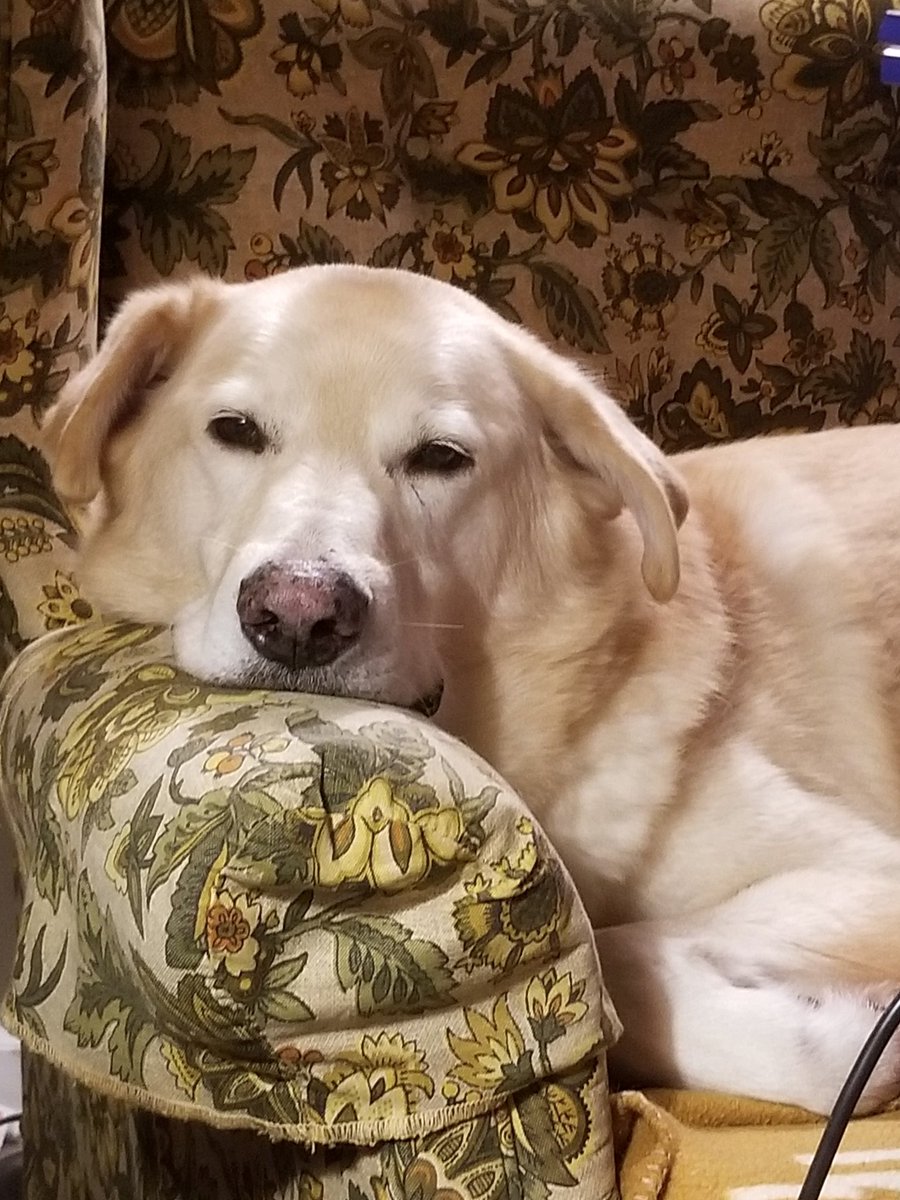 Nice Guy Jake tweet media