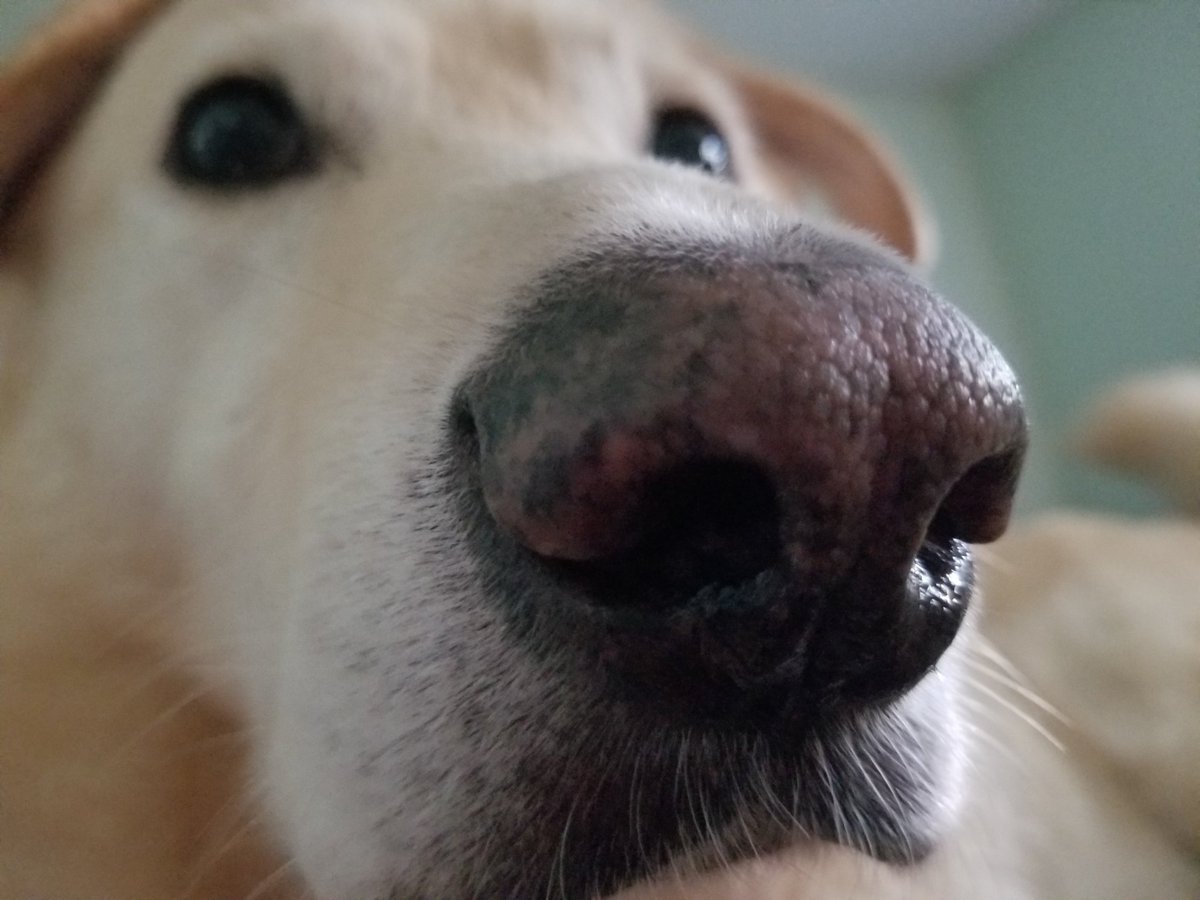 Nice Guy Jake tweet media