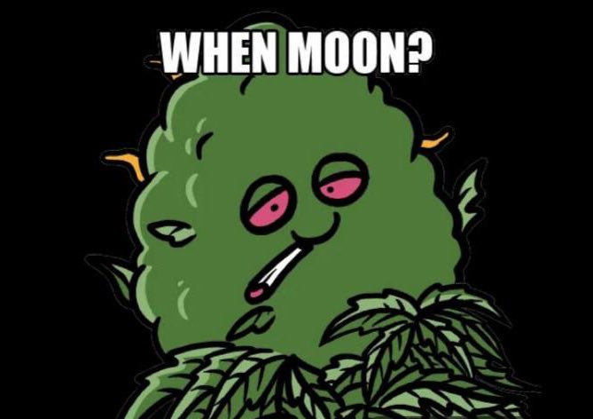 GrowStrainz's tweet photo. Well Strainz community, weโve always wondered this like the ol stickerโฆ
Now we know, starting 1 October 2022 via @YourTimeInSpace
#WenMoon #WhenMoon #CozomodeMedici #cryptopunks #punk3831 https://t.co/SpTZczvw5j