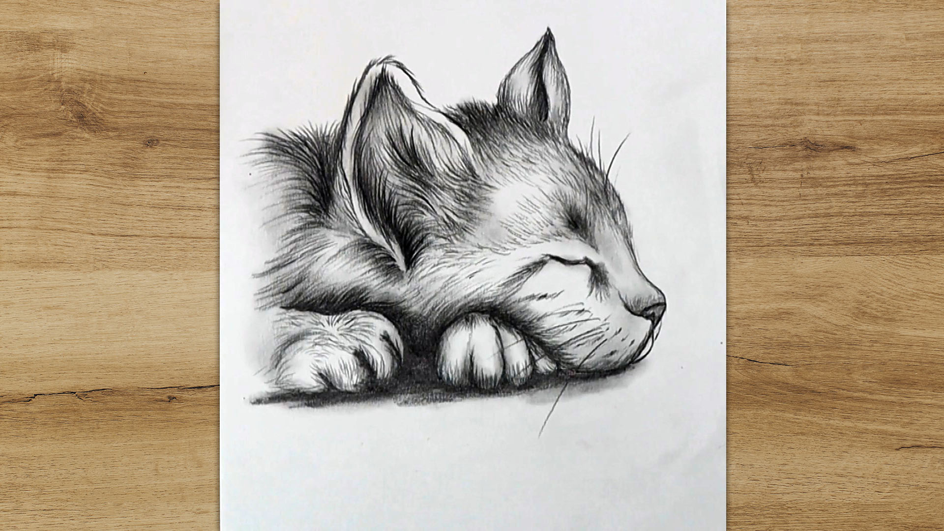 How to Draw a Cat: From Sketch to Masterpiece - Full Bloom Club