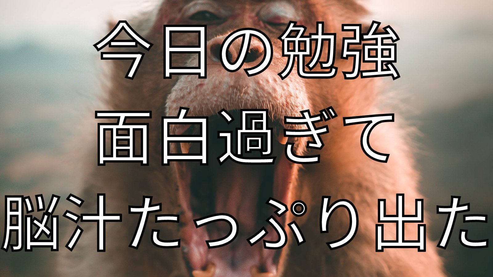 面白かったー Twitter Search Twitter