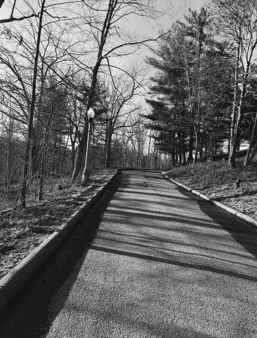 afternoon walk https://t.co/75i0gzUxLo<a href="/tag/holyspirit"class="tags"><span>#holyspirit</span></a><a href="/tag/cockblock"class="tags"><span>#cockblock</span></a>