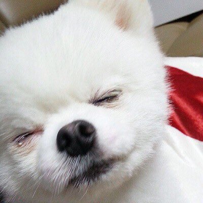 안녕하세요.. 계정이 부활했습니다