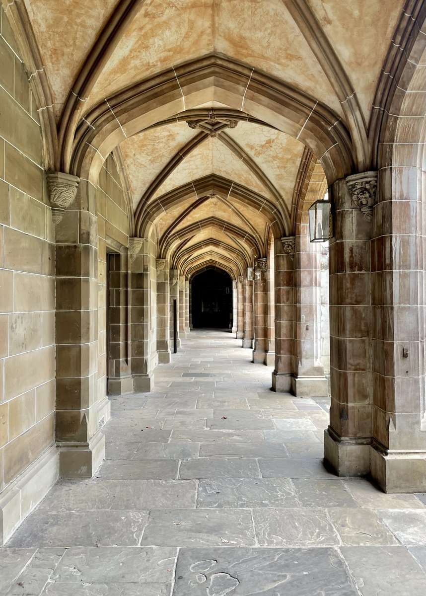 SCC_Unimelb's tweet photo. Who needs a timeline cleanse? This one's for all you lovers of symmetry. 😍 #OldQuad https://t.co/hOVKZZBZVJ
