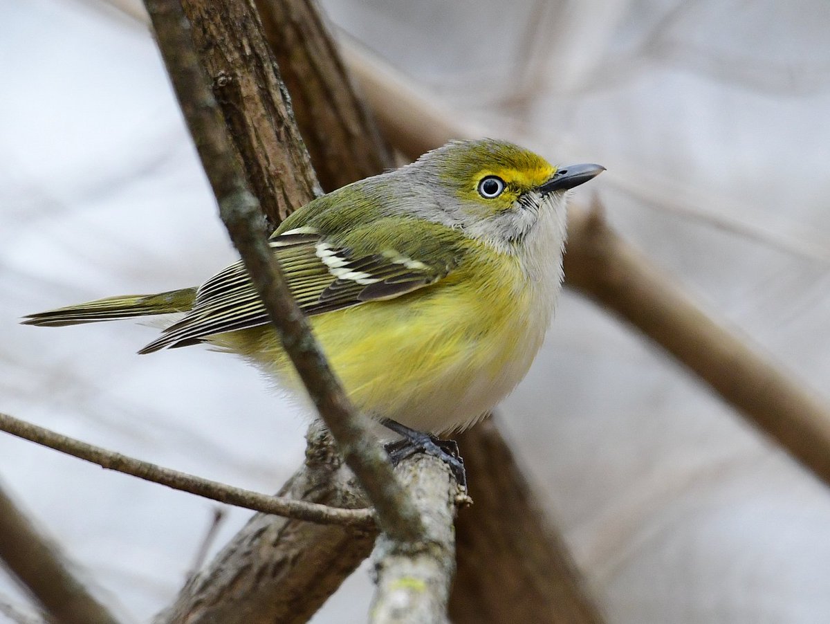 Eric Titcomb tweet media