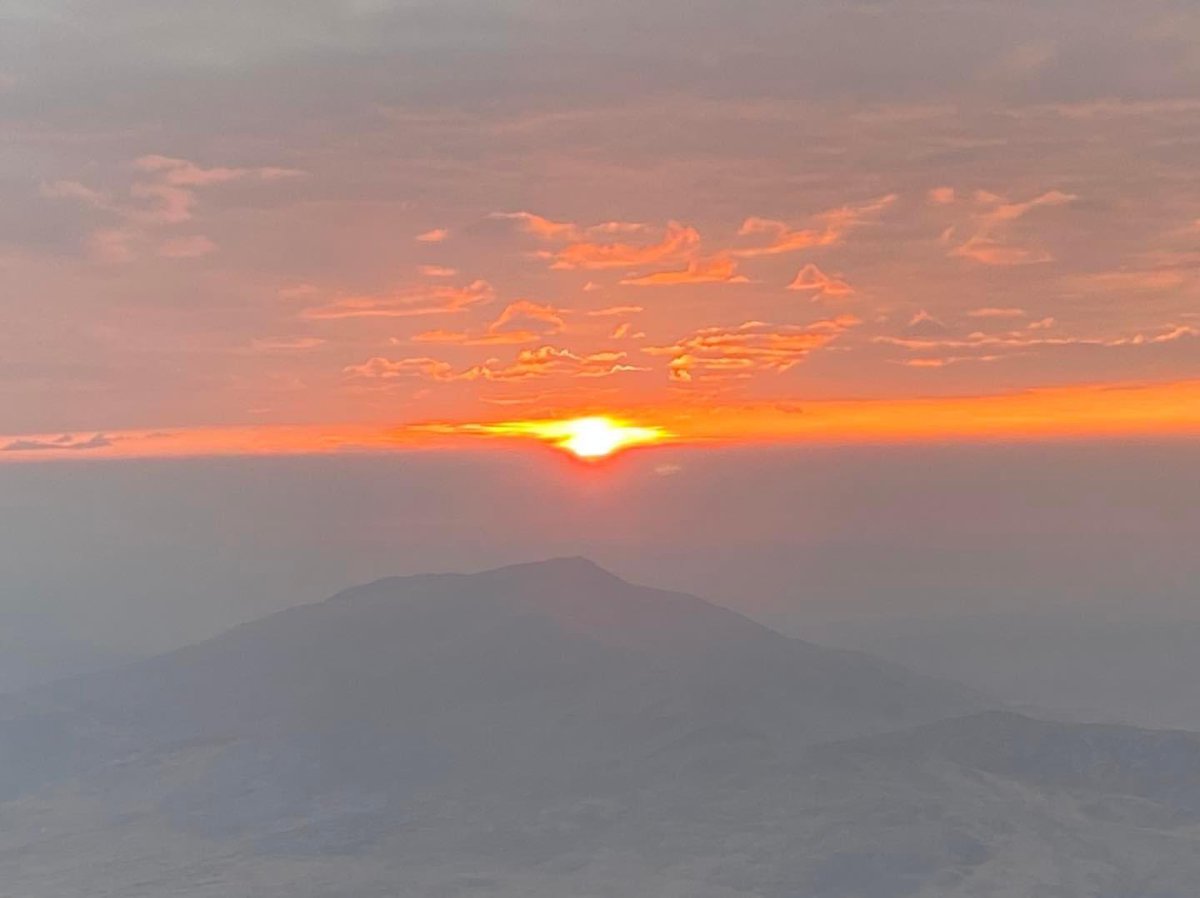 Nikki Foulkes tweet media