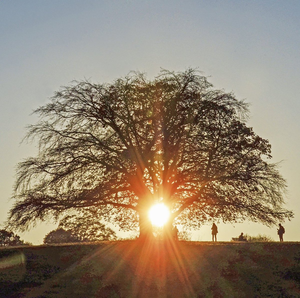 HeathgateUK's tweet photo. Long summer nights are coming this weekend

#hampsteadheath #britishsummertime #hampstead #hampsteadvillage #london https://t.co/KsTjVdQIxZ