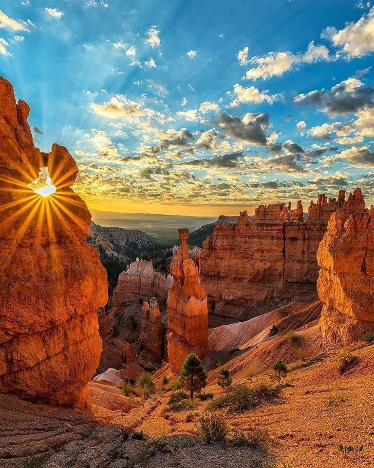 David88_01's tweet photo. #photo #naturelover #nature #weekendmood https://t.co/Mqx0Q7qvrs