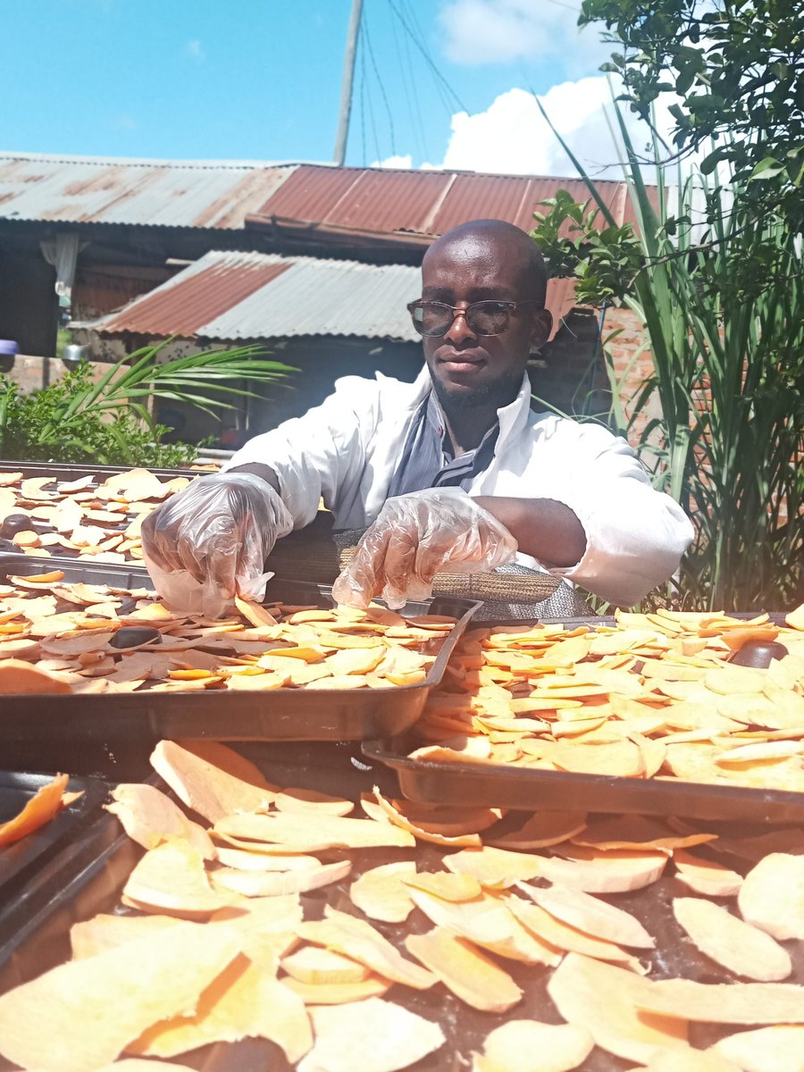 Viazi Lishe Kutoka katika shamba letu #MHNUCOFARM 
#lishebora .
Vimeandaliwa kwa kufwata taratibu zote za usalama na Ubora wa Chakula.