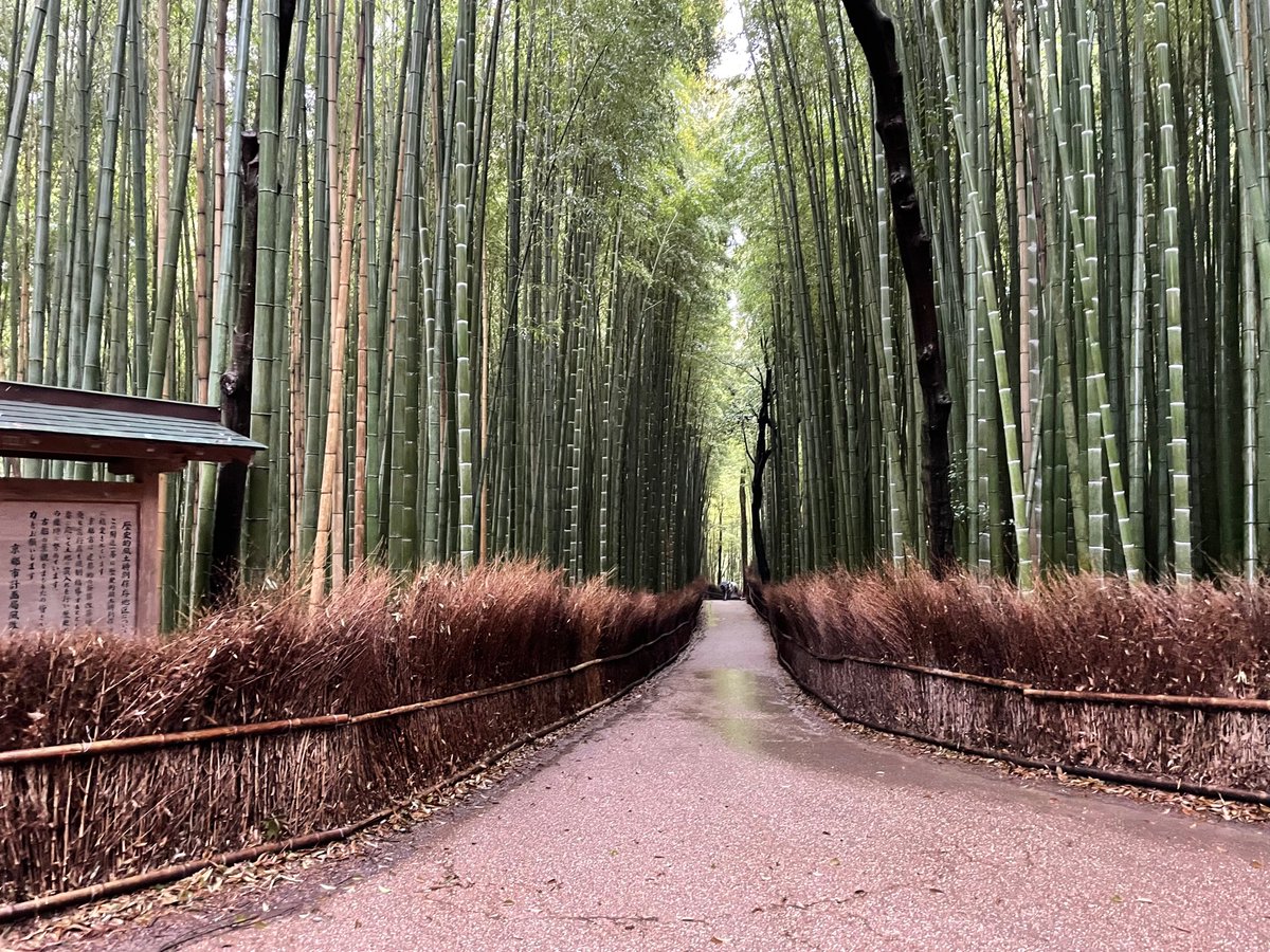 トロッコ ロケ地 撮影秘話 最新情報まとめ みんなの評価 レビューが見れる ナウティスモーション