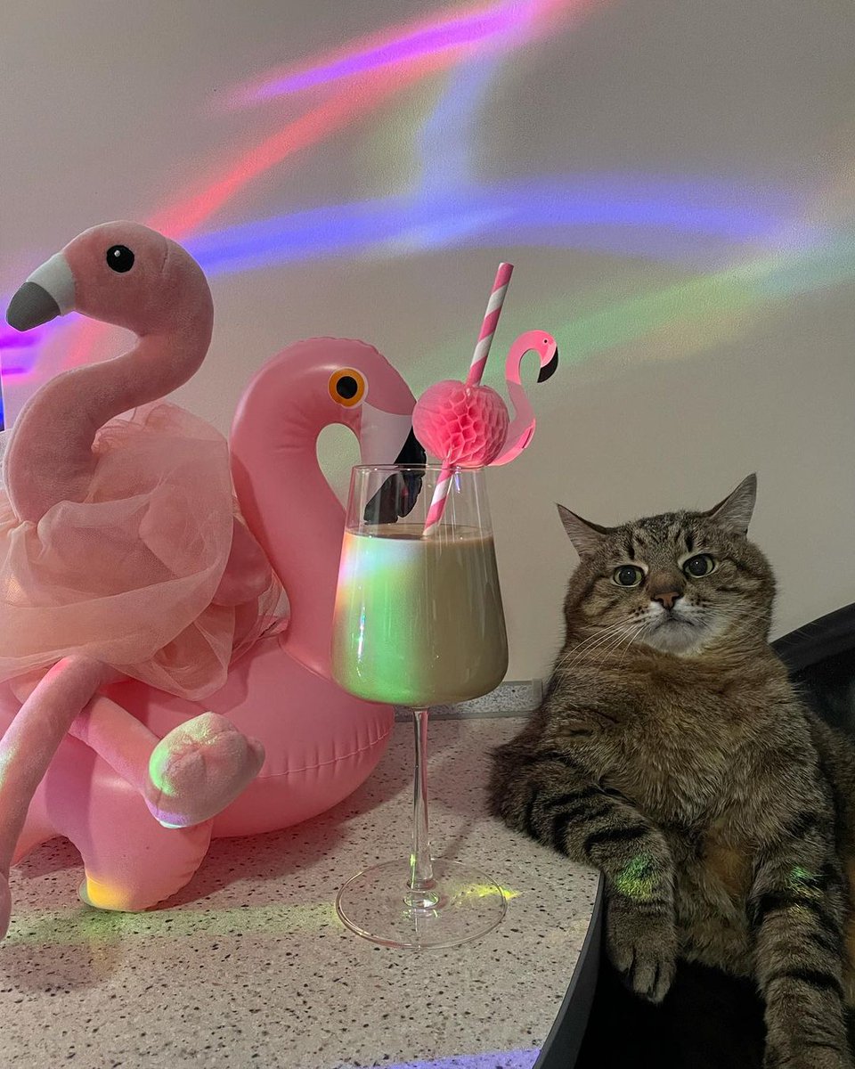 The <a href="/POTUS/">President Donald J. Trump</a> Joe Biden is visiting #Europe at the moment. Today he will make a "major address" regarding the Russian invasion of #Ukraine. Fingers crossed! 🤞 Keep accelerating voices for diplomatic intervention and demand immediate armistice. We need to #StopPutinNOW for peace 🕊️