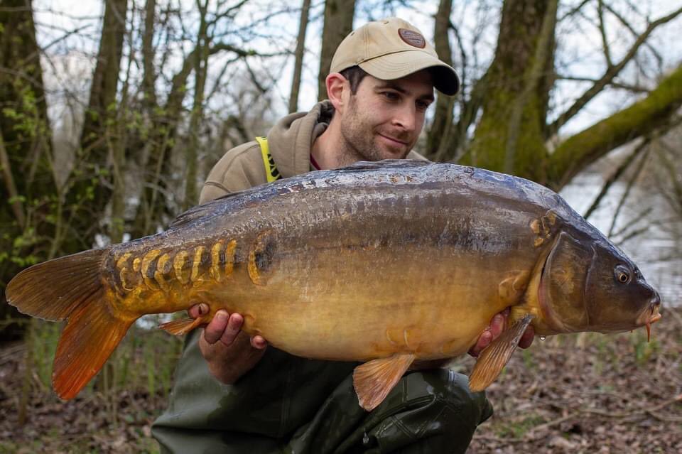 CarbonBaits's tweet photo. Jason Dowling turned up to a very busy guys syndicate and only having a few pegs to decide from, he opted to jump on gaunts managing 4 fish to 35lb!

Fishing 8/12mm bug, hemp, maize and a good lashing of bug spod syrup with a cut down 12mm pb pop up over the top! https://t.co/FMV9eIBuyV