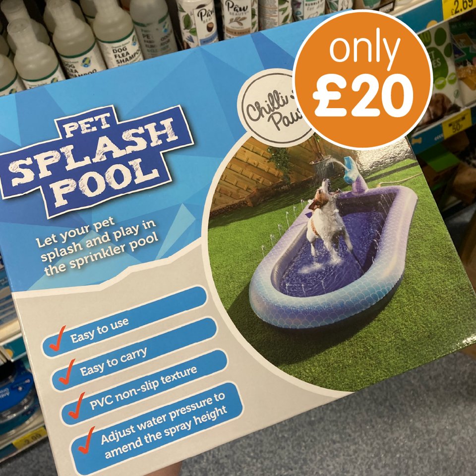 B&M Stores on Twitter "Make sure your pups don't get too warm while