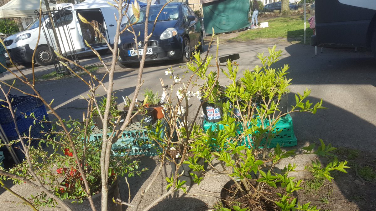 jackywgfarm's tweet photo. Whitegates Farm and Nursery
Are at Telegraph Hill lower park
#farmersmarket
#freshlocal
#fruitandveg
Plus back with
#plants
Today from 10 till 3 o'clock https://t.co/r0qcGj3RMz