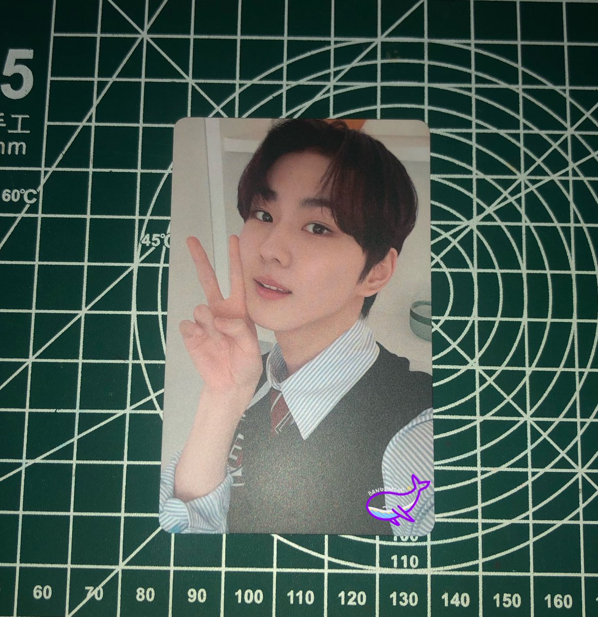 BANGSIMCART's tweet photo. 📬 from @ygjwkicart 💓

finally a jungwon soljack blue haver!! honestly didn’t expect this kaya thank you for trading with me~ i’ll take care of him! i hope sunoo beret comes home to you safely like won did  ^_^ <33

— [♡] ;{#bangsimcartmails} https://t.co/TkivKVZbh3