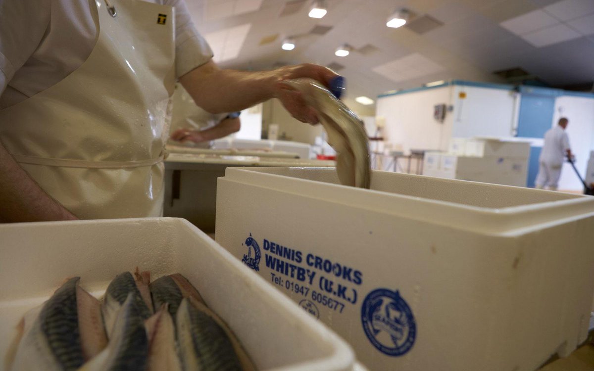 Was great to chat to Will from <a href="/DennisCrooks/">Dennis Crooks fish</a> in Whitby, we got to chat about all the current goings on which includes fish fish and fish.. Will be able to listen in a few days.