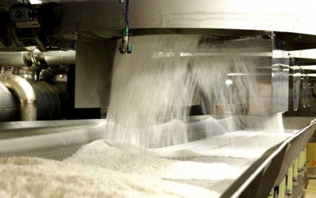 Нетолерантный демократ tweet media