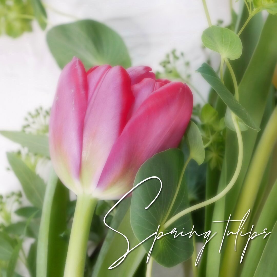 お花の定期便 ピュアフラワー 創業25年 Pure Flower Fc Twitter