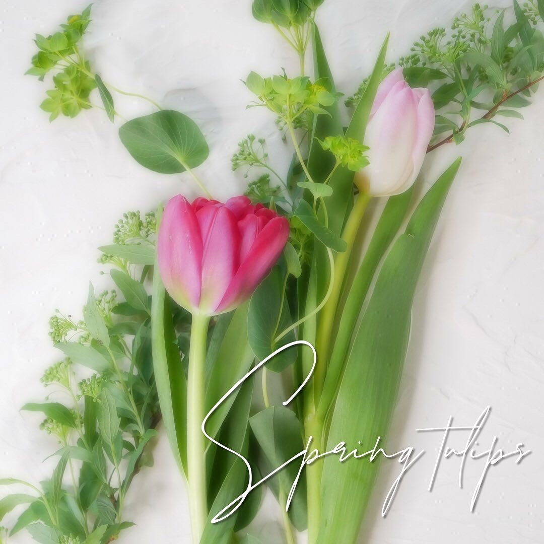 お花の定期便 ピュアフラワー 創業25年 Pure Flower Fc Twitter