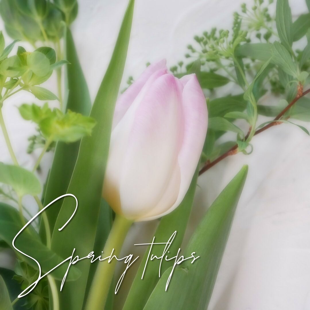 お花の定期便 ピュアフラワー 創業25年 Pure Flower Fc Twitter