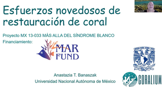 Durante nuestra última Reunión de Socios el 21 de febrero 2022, Anastazia Banaszak <a href="/coraliumlab/">coraliumlab</a> nos compartió su experiencia en los esfuerzos de restauración del coral por parte del programa de rescate de <a href="/MAR_Fund/">MAR Fund</a>.

bit.ly/3546OYZ