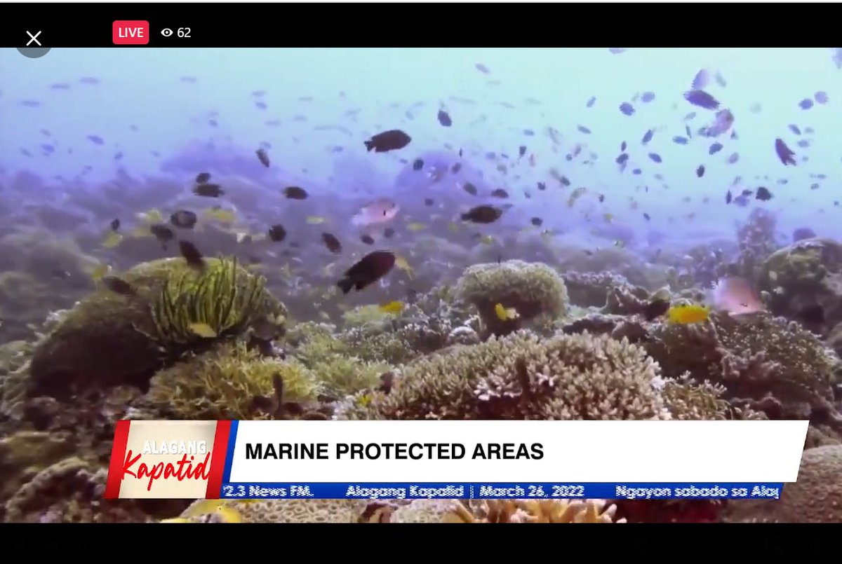 oceana_ph's tweet photo. Mar Saniano: We call on the govt to give to special attention to Panaon Island; the President to proclaim it as an ENIPAS. At sa mga kababayan natin, ingatan natin ang ating karagatan at mga bahura. #CoralfulPhilippines #CareForCorals #PanahonNgPanaon #MonChie @alagangkapatid https://t.co/NEA7LmEEiO