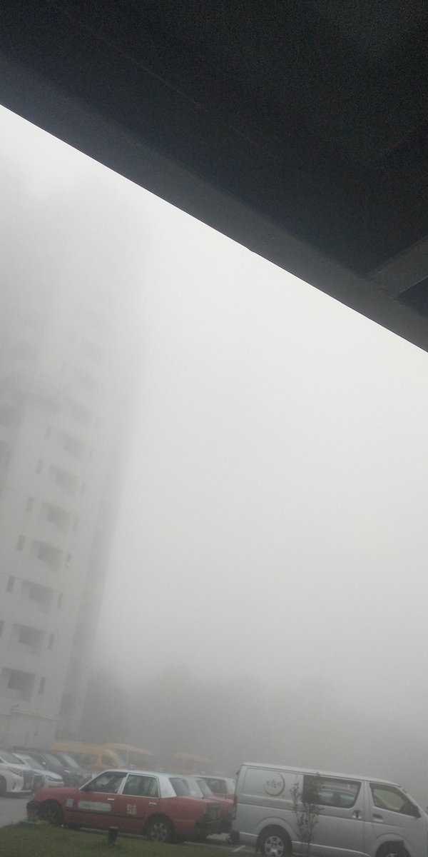 thr3sides's tweet image. Fogs 🌫