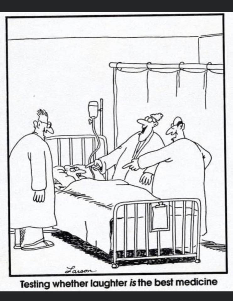 redaktorbs's tweet image. 