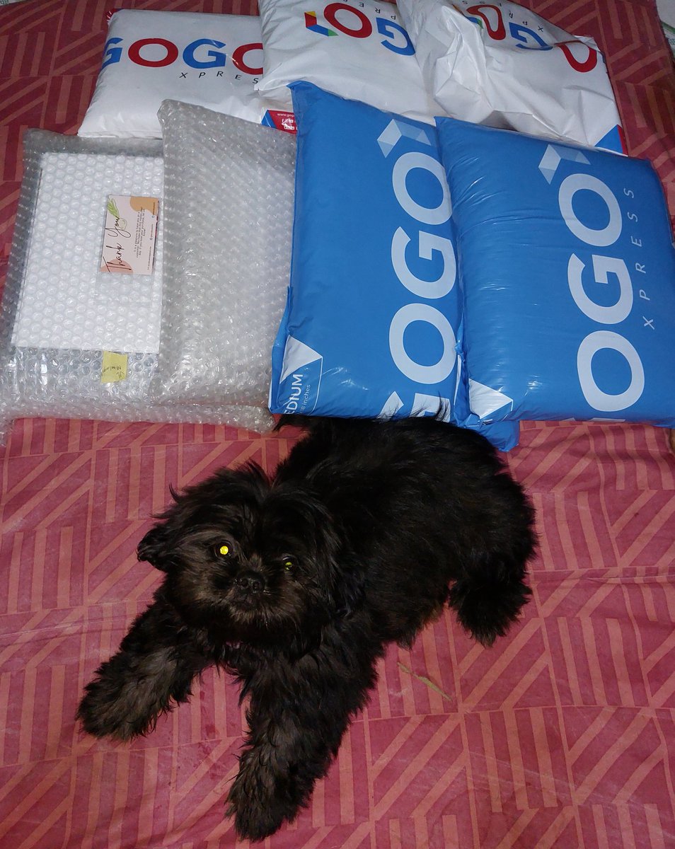 MooBoodolPH's tweet photo. β¨οΈ#MooBoo_UD β¨οΈ
Hello~ Napick-up na po yung shop33 and GOGOexpress parcels kahapon and today.π
Ft. Luna πΆ (inspired by lunatic) https://t.co/J5oFvm4M4o