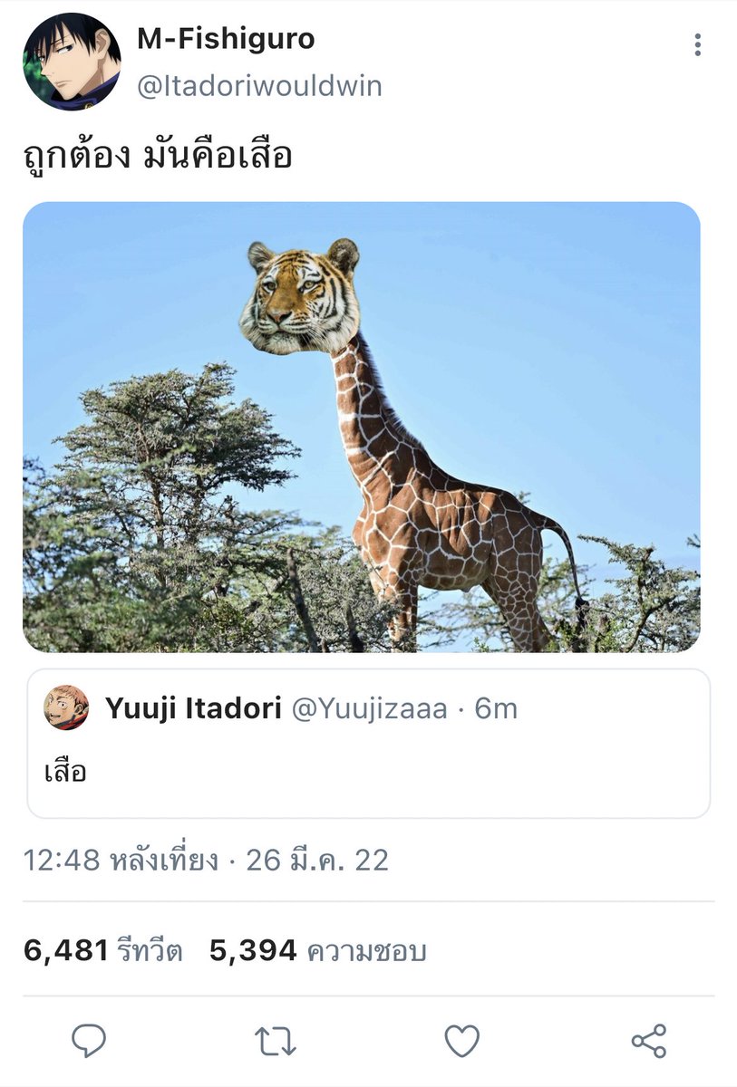 อิตาโดริ มิ้ม tweet media