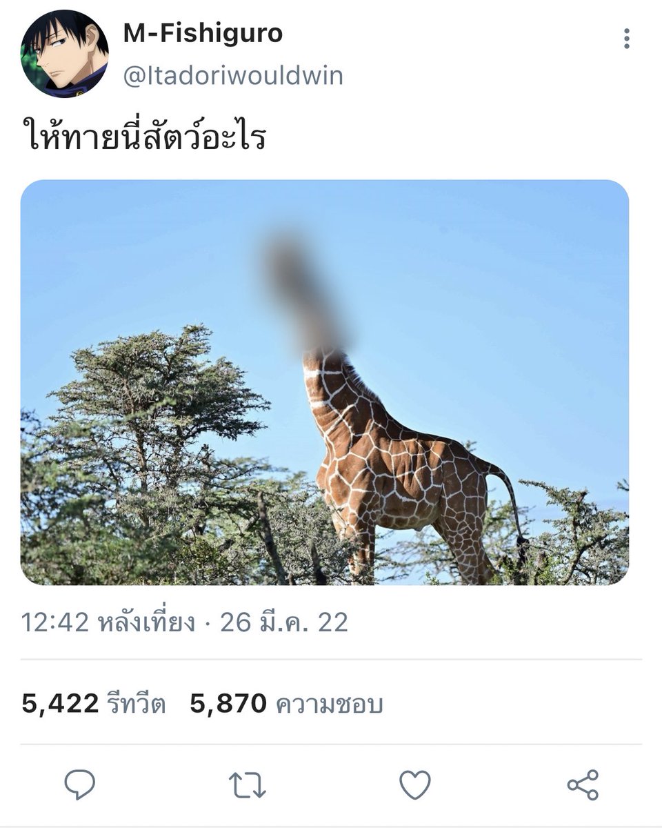 อิตาโดริ มิ้ม tweet media
