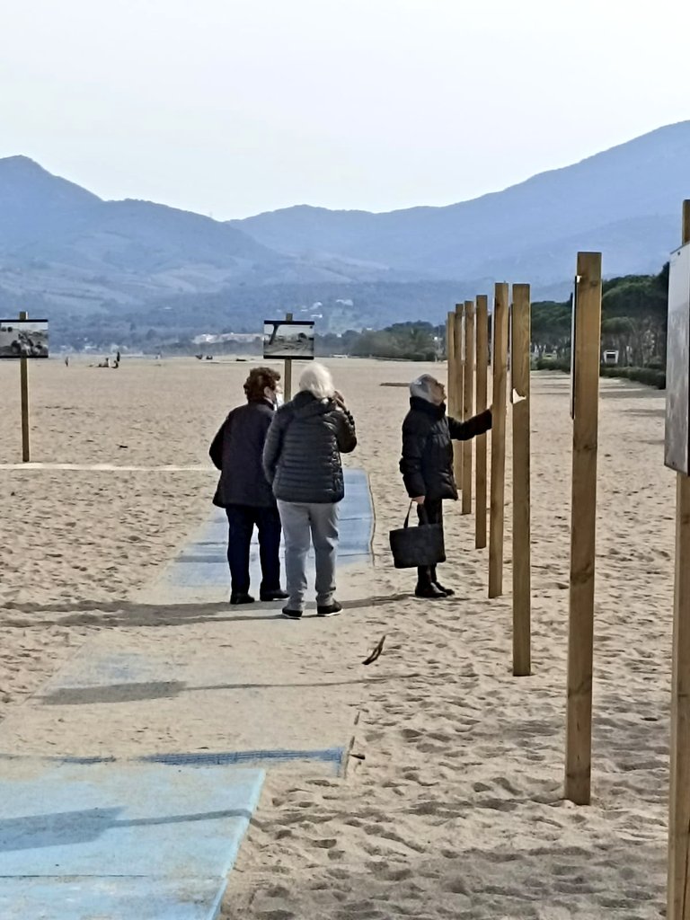 insjc3's tweet photo. Divendres a Argelers amb 4t ESO. Hem conegut l'Agustina i la Ramona, refugiades al camp de concentració de petites, que ens han explicat la seva història i la de tants altres que van patir la guerra. Gràcies infinites! 💚
#Ffreee #guerracivilespanyola #MemoriaHistórica https://t.co/fngzrdksMG
