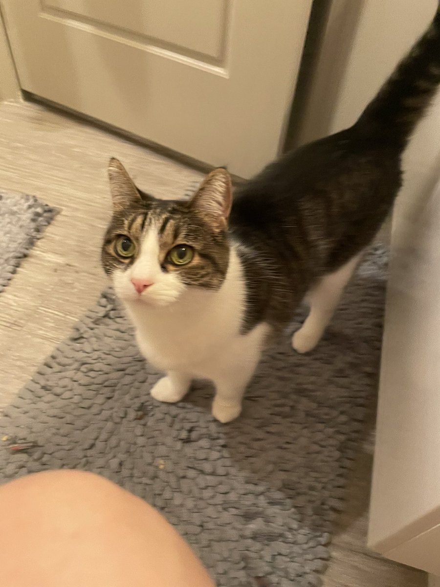 she somehow opened the door while i was shitting
