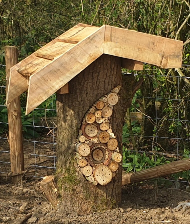 We've built and installed a new #bughotel for #NewlandsCorner #wildlifegarden 🙂