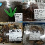 衆議院議員 柿沢未途(江東区・東京15区) 自由民主党のツイート画像