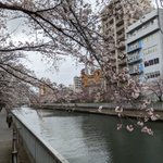 衆議院議員 柿沢未途(江東区・東京15区) 自由民主党のツイート画像