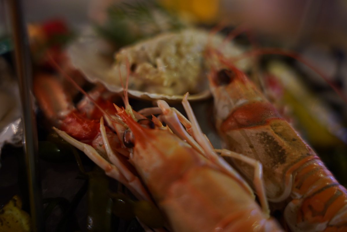 reizkultur's tweet photo. My culinary highlight of the trip so far. Watching @pierhousehotel chef Michael, who commutes by 🚴‍♂️ to work each day, pulling lobsters out of the sea - and then enjoying a seafood dinner at the restaurant. Amazing food! If you’re around Port Appin, this is a must-do/eat. https://t.co/UNY8nUoKOa