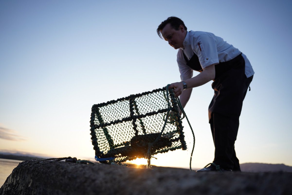reizkultur's tweet photo. My culinary highlight of the trip so far. Watching @pierhousehotel chef Michael, who commutes by 🚴‍♂️ to work each day, pulling lobsters out of the sea - and then enjoying a seafood dinner at the restaurant. Amazing food! If you’re around Port Appin, this is a must-do/eat. https://t.co/UNY8nUoKOa