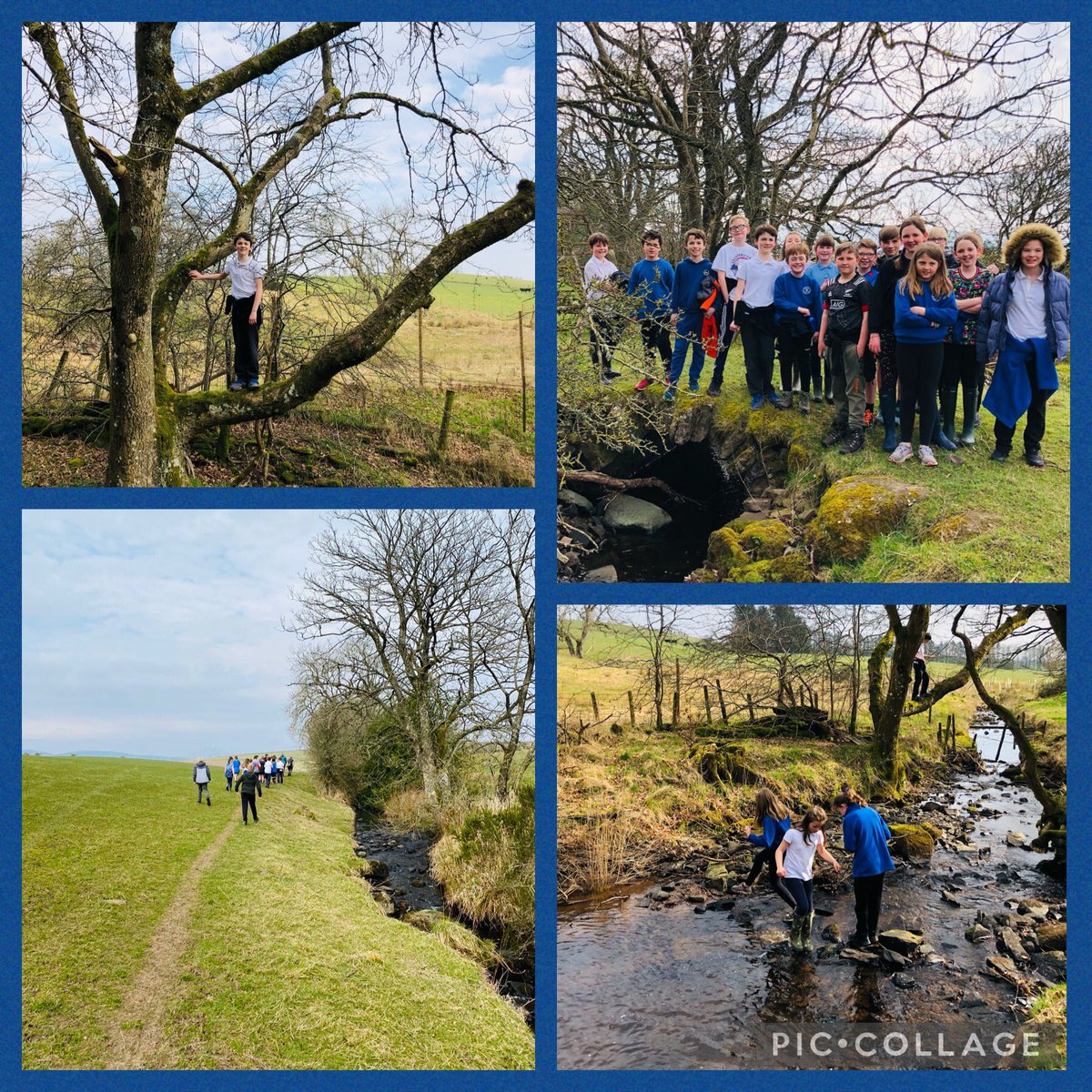 P5/6/7 were exploring our local area this week. A beautiful walk in the sunshine on Thursday. 😊🗺