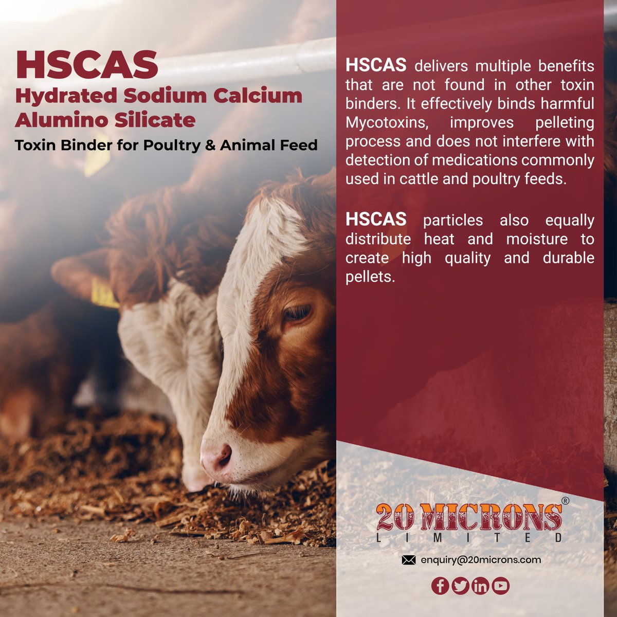 20Microns's tweet image. We offer Hydrated Sodium Calcium AluminoSilicate which is better than other toxin binders. Some properties it possesses improve pelleting. Read more: 20microns.com/hydrated-sodiu…
#hscas #hydratedsodiumcalciumaluminosilicate #animalfeed #sodium #calcium