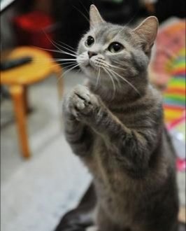 Eva (@eva06739326) on Twitter photo 