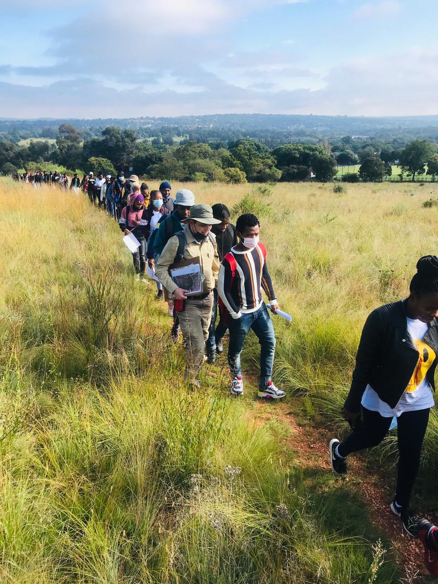 Prof. Susan Webb tweet media