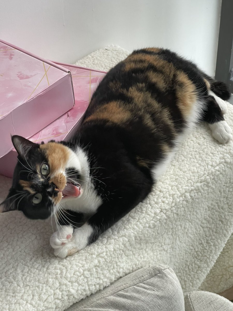 豆苗有七斤了啦 豆奶销售点 Soymilksalespoi