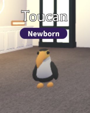 dayblinks's tweet photo. giving away a toucan and koala to 2 winners in adopt me!
~~~~~~~~~
+follow me
+reply
+reply to get entered! <3
+like
————-
1st winner: koala
2nd winner: toucan
-ending in 2 days-
#adoptme #adoptmegiveaway #adoptmegiveaways #AdoptMePets https://t.co/SqpU21d351