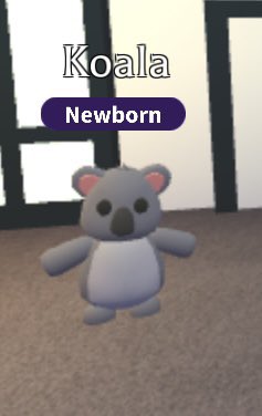 dayblinks's tweet photo. giving away a toucan and koala to 2 winners in adopt me!
~~~~~~~~~
+follow me
+reply
+reply to get entered! <3
+like
————-
1st winner: koala
2nd winner: toucan
-ending in 2 days-
#adoptme #adoptmegiveaway #adoptmegiveaways #AdoptMePets https://t.co/SqpU21d351